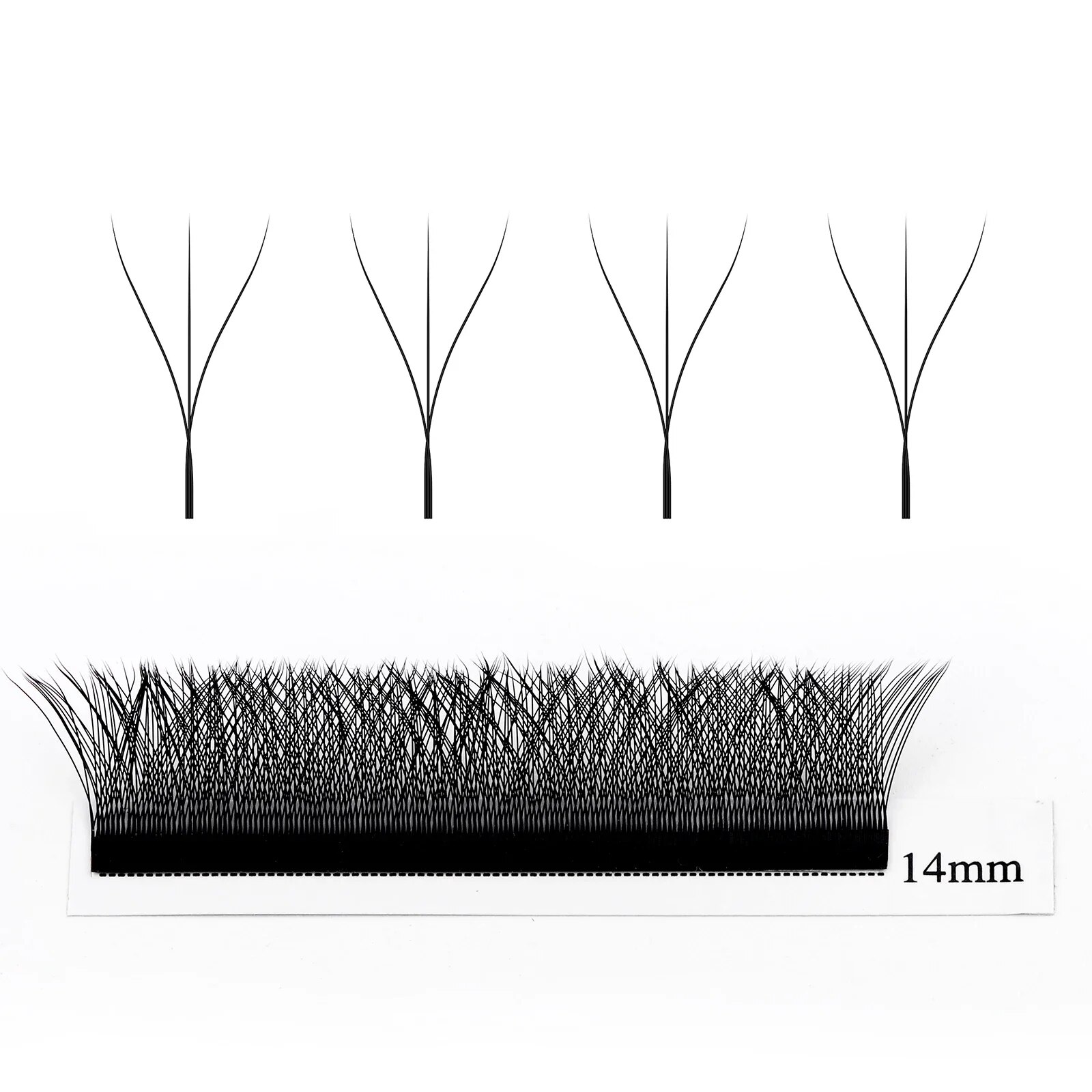 Wendy Lashes W forma suministr - Eyelash Extension Human Hair reseña y precio